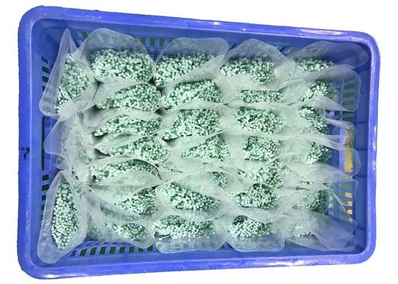ซื้อ REACH สายสัมพันธ์ไนลอน 120 องศา 2.5 มม. สีเขียวเล็กน้อย online manufacture